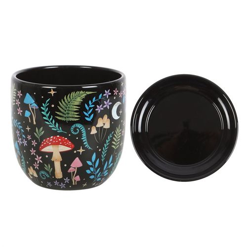 Enchanted Forest Plant Pot & Saucer