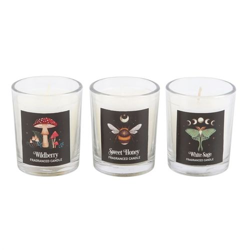 Enchanted Forest Set Of 3 Candles