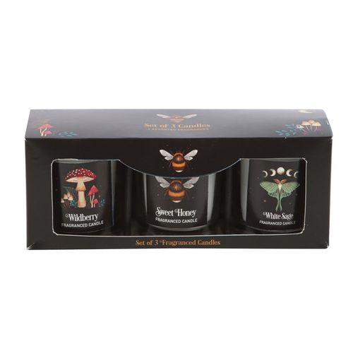 Enchanted Forest Set Of 3 Candles