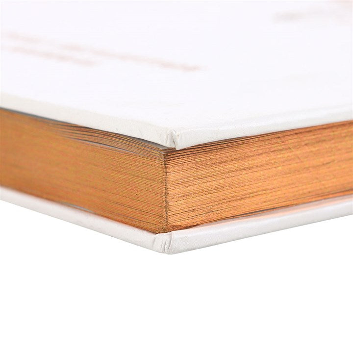 Luna Moth Reflection Journal With Clear Quartz Pen