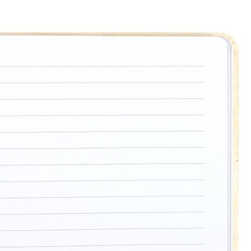Toadstool Trails Notebook