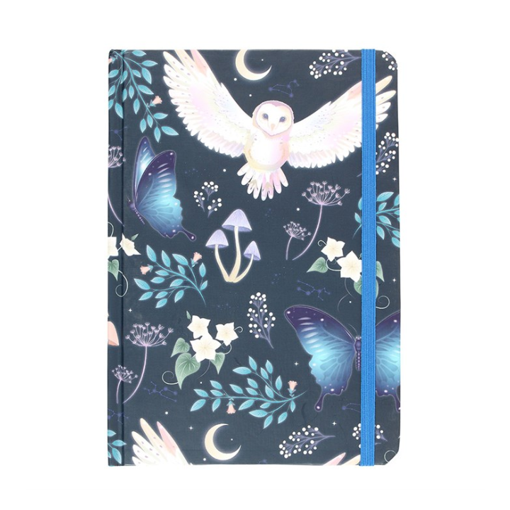 Night Flight Owl Notebook (A5)