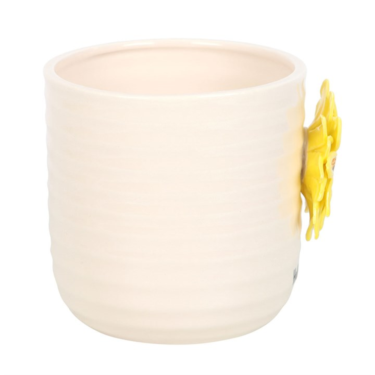 Hello Sunshine Plant Pot (with 3D Sunflower)