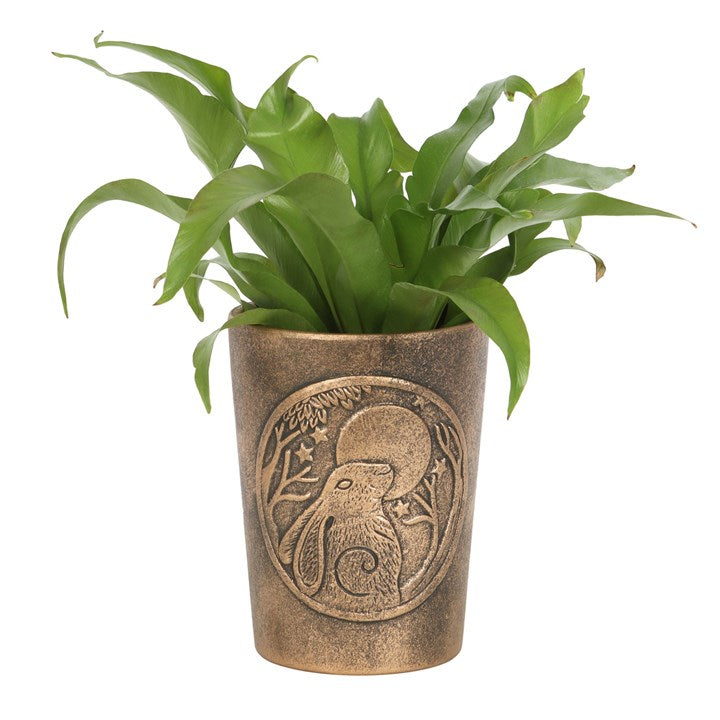 Moon Gazing Hare Bronze Terracotta Plant Pot (by Lisa Parker)