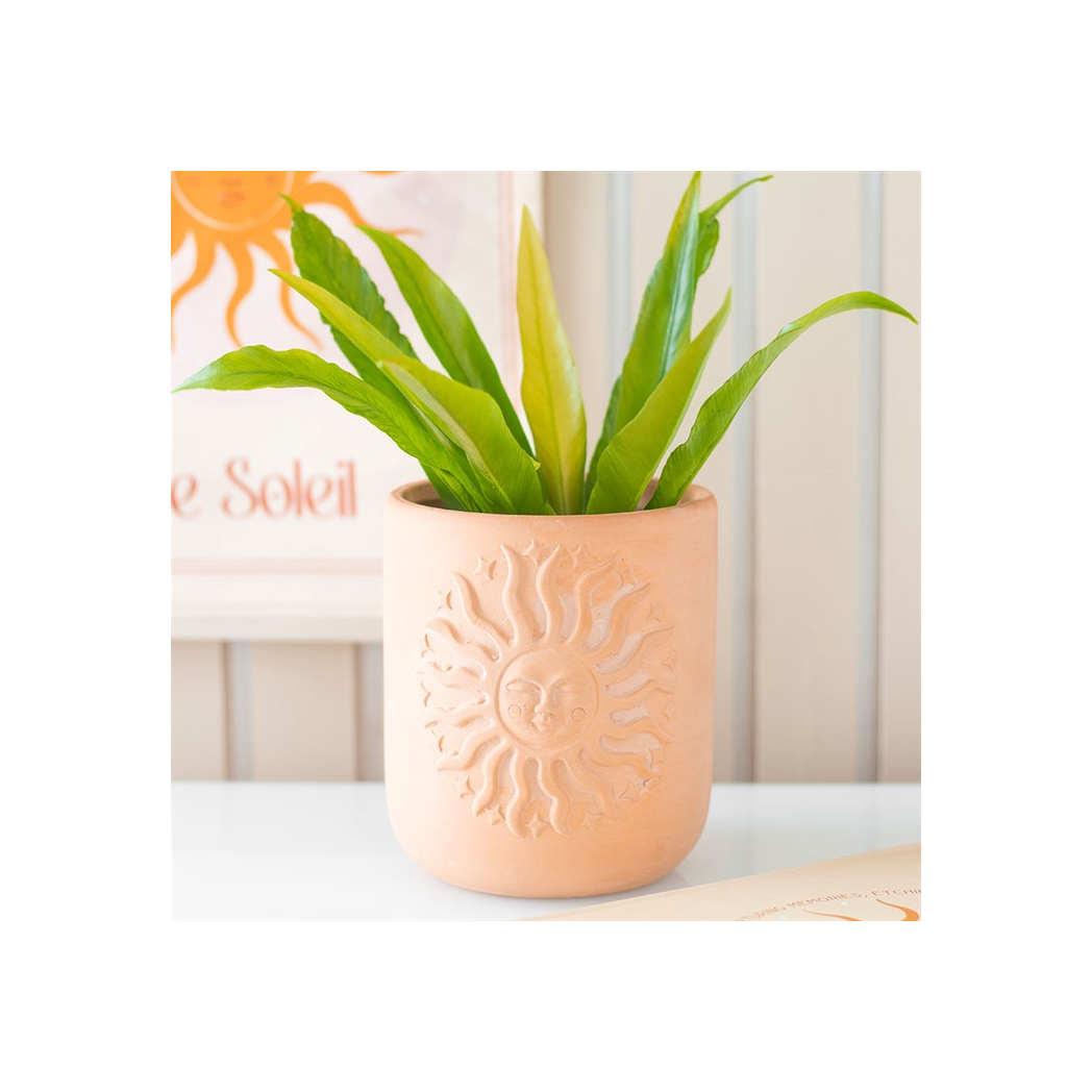 Terracotta Sun Plant Pot