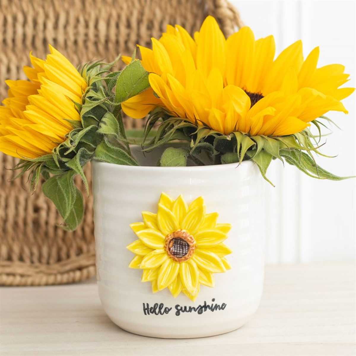 Hello Sunshine Plant Pot (with 3D Sunflower)
