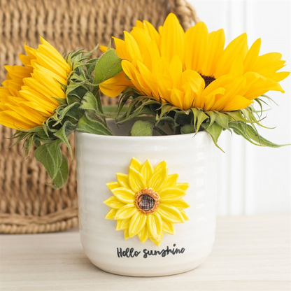 Hello Sunshine Plant Pot (with 3D Sunflower)